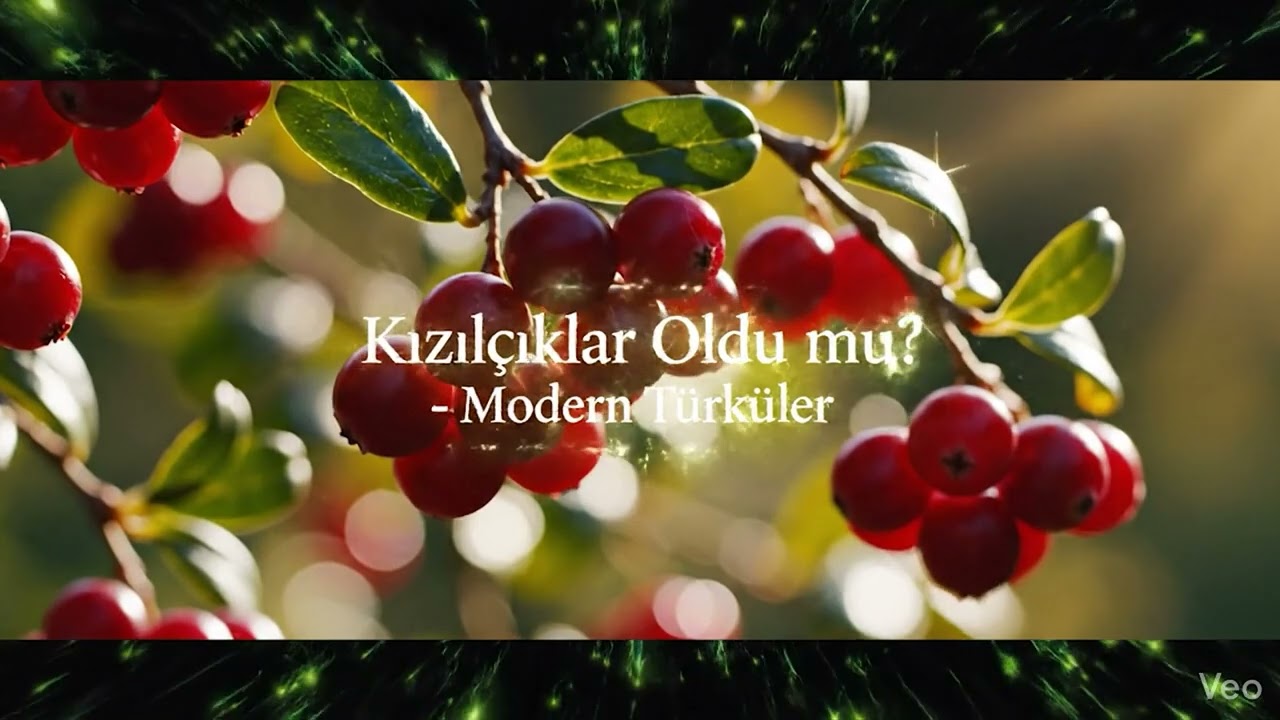 Kızılcıklar Oldu mu? - Modern Türküler