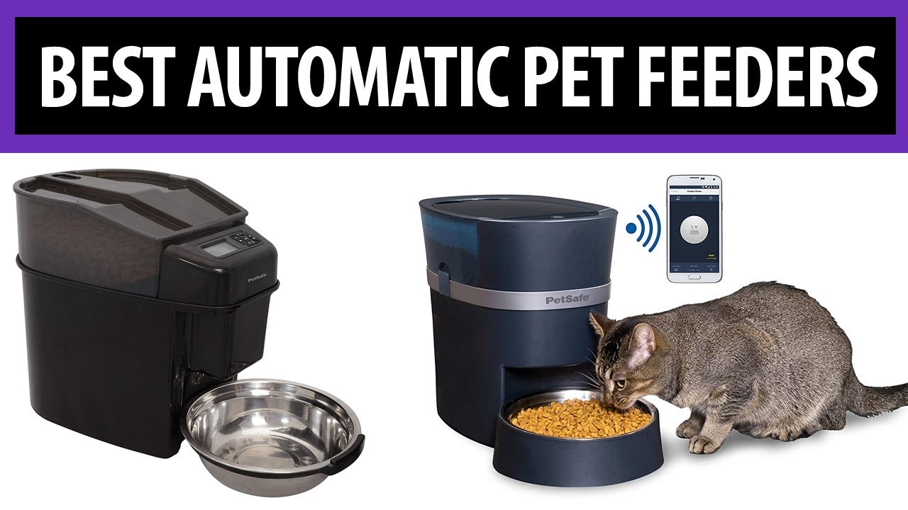 Best Automatic Pet Feeders 2020 ✅