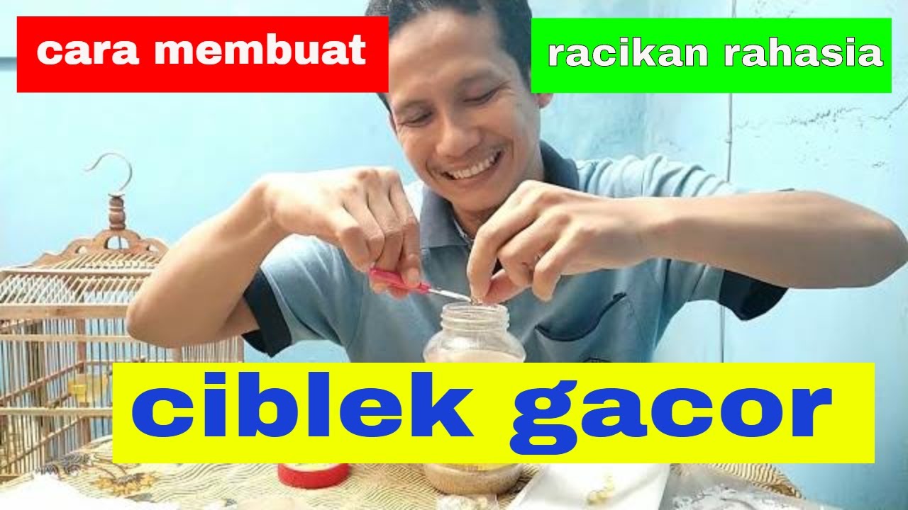 Cara membuat racikan rahasia ciblek gacor