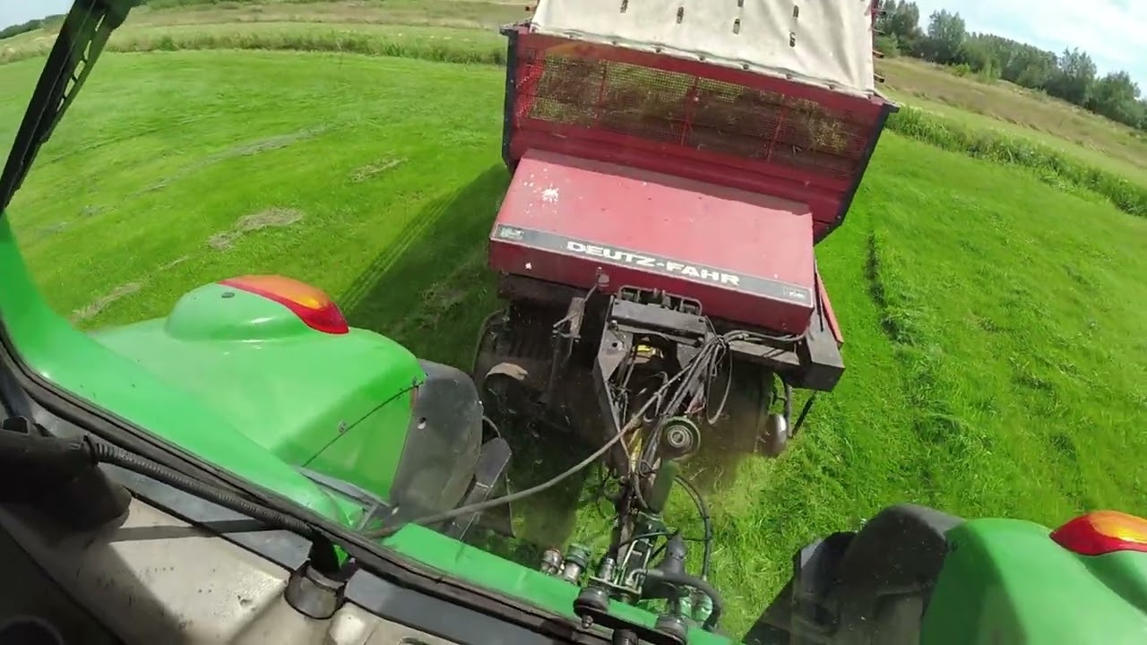 Vers gras voeren aan de koeien