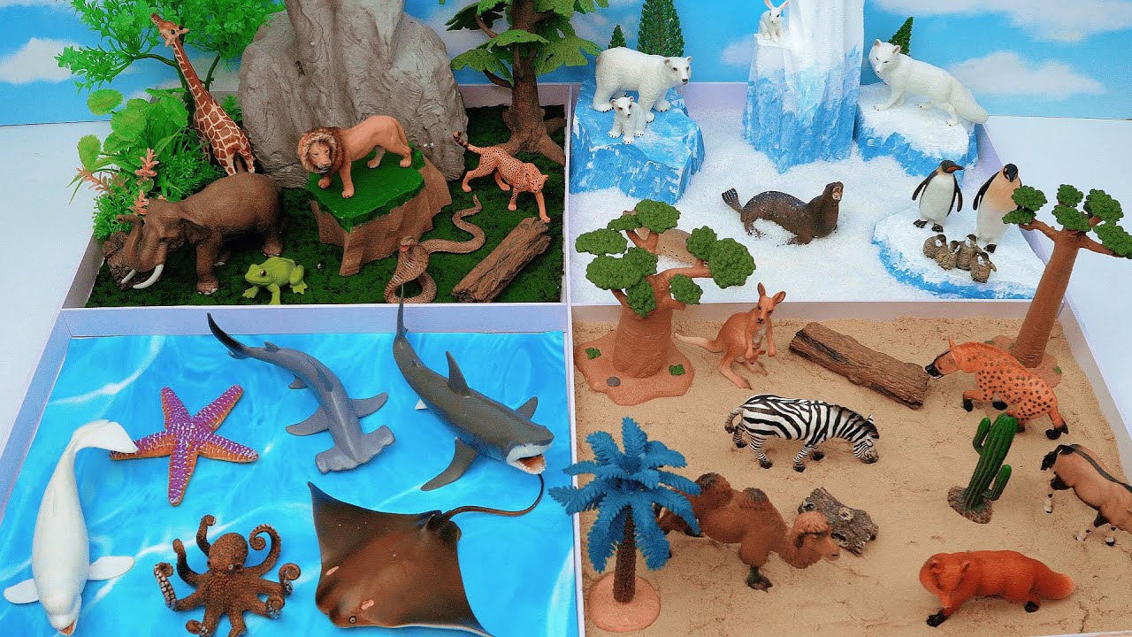 DIY Animal Dioramas for Kids 🐾 | Sea, Forest, Polar & African Animals | Preschool Learning Fun!