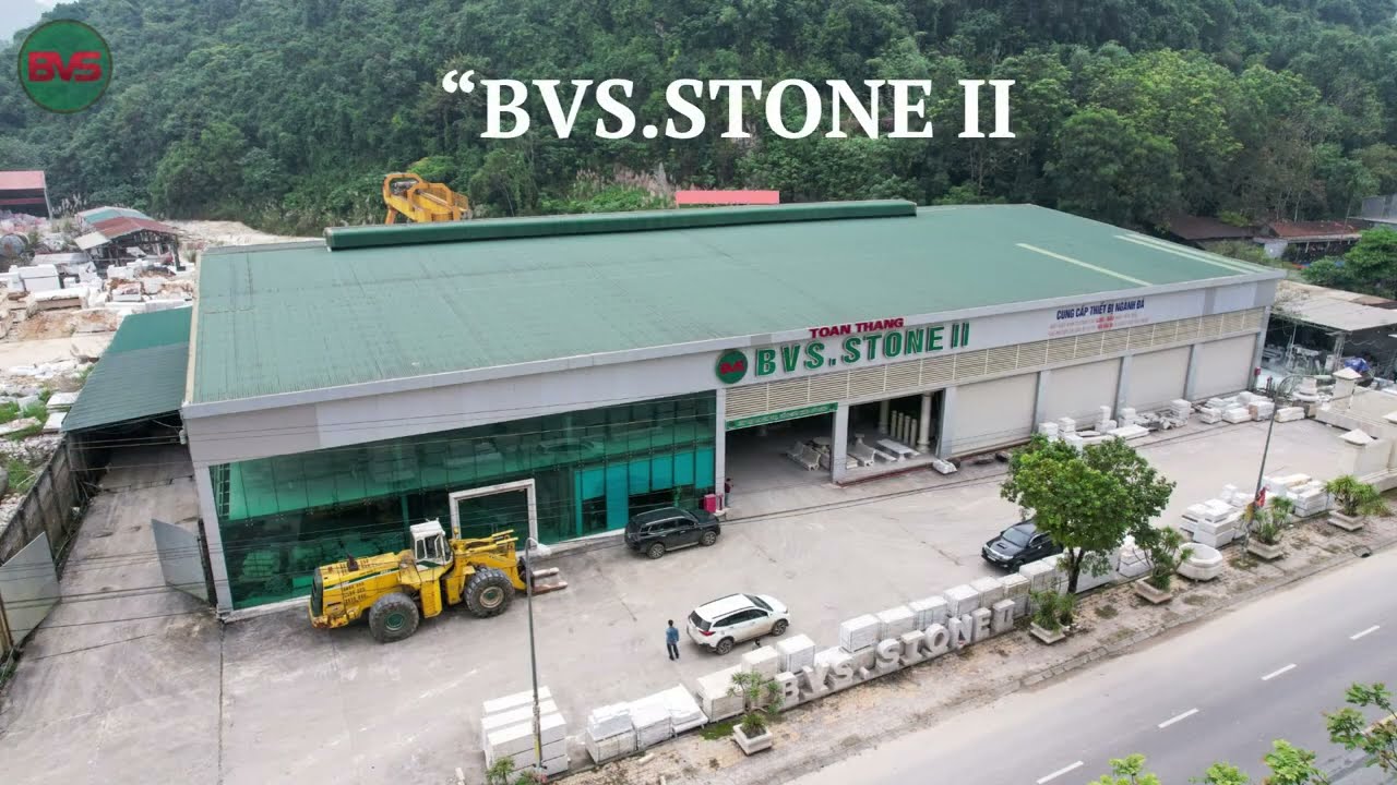 bvs_2026