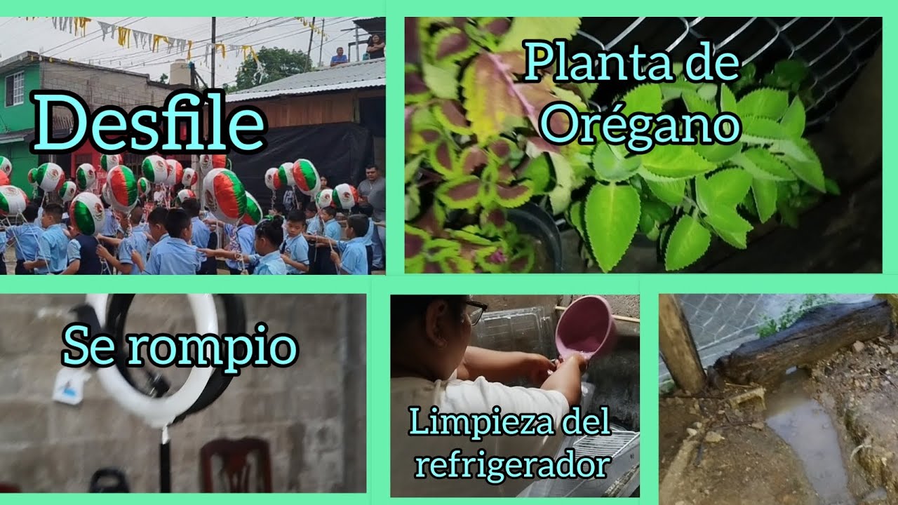 Limpieza del refrigerador| Tomando te de orégano 🍵