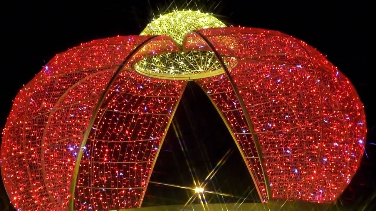 Christmas Light