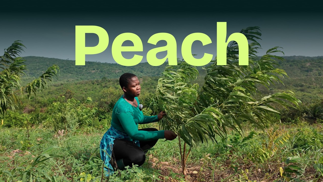 We Are Growing Peaches Too