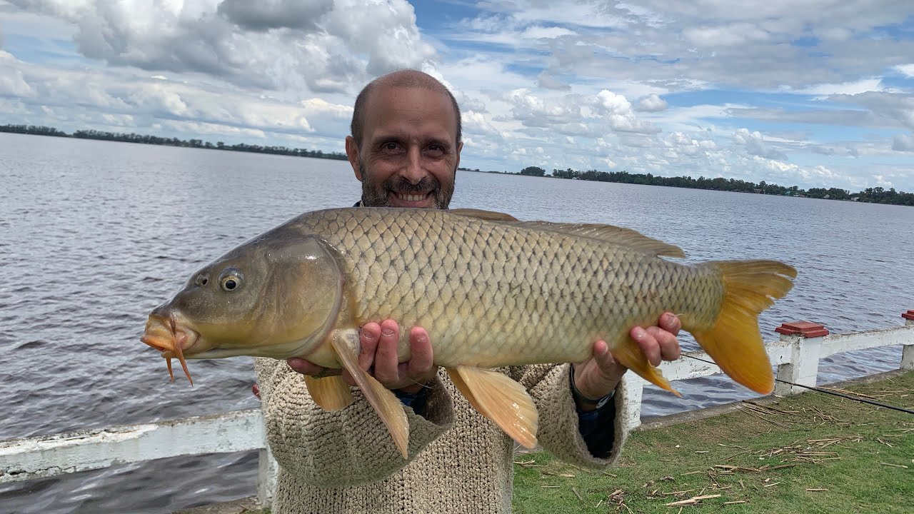 Buscando Carpones en la laguna de San Miguel del Monte parte 1 (30-10-25)