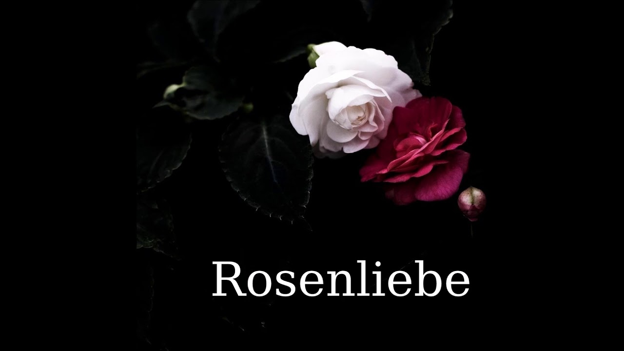 Snarry Oneshot - Rosenliebe