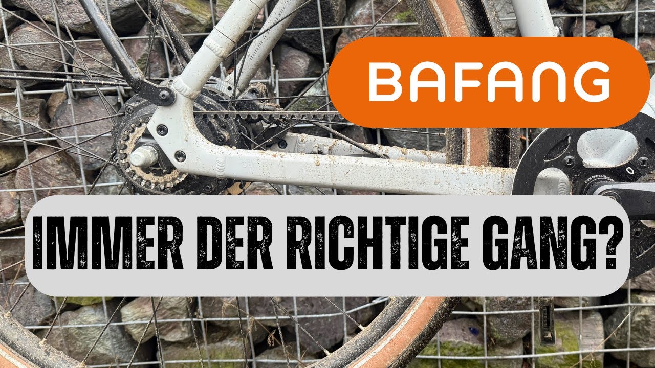 ‼️‼️ Der beste E-Bike Antrieb der Welt ? Bafang H 710 Heckmotor mit 2 Gang Automatik
