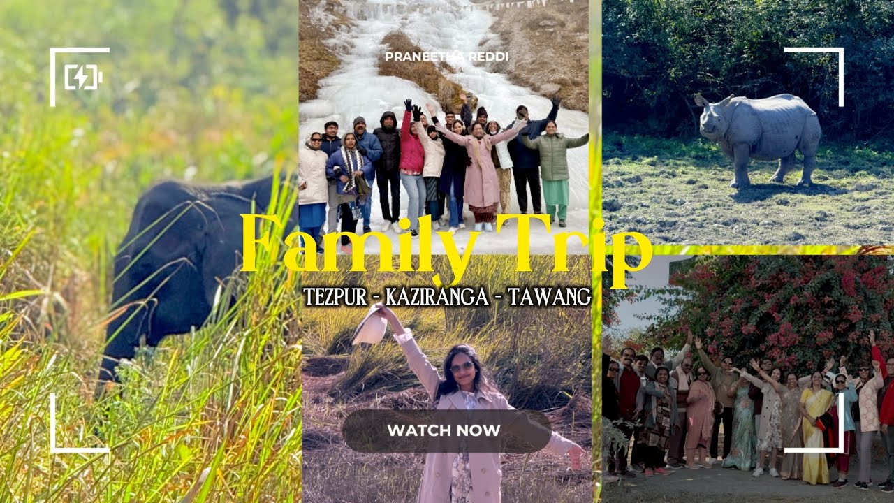 Ending 2025 with a big family trip | Kaziranga Safari | Part - 1 