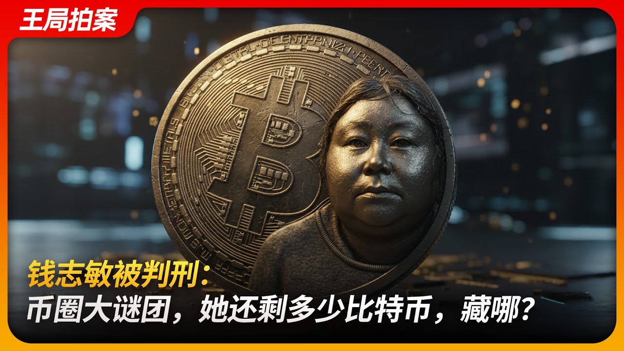 钱志敏被判刑：币圈大谜团，她还剩多少比特币，藏哪？｜比特币女王｜传销｜蓝天格锐｜洗钱｜王局拍案 20251119