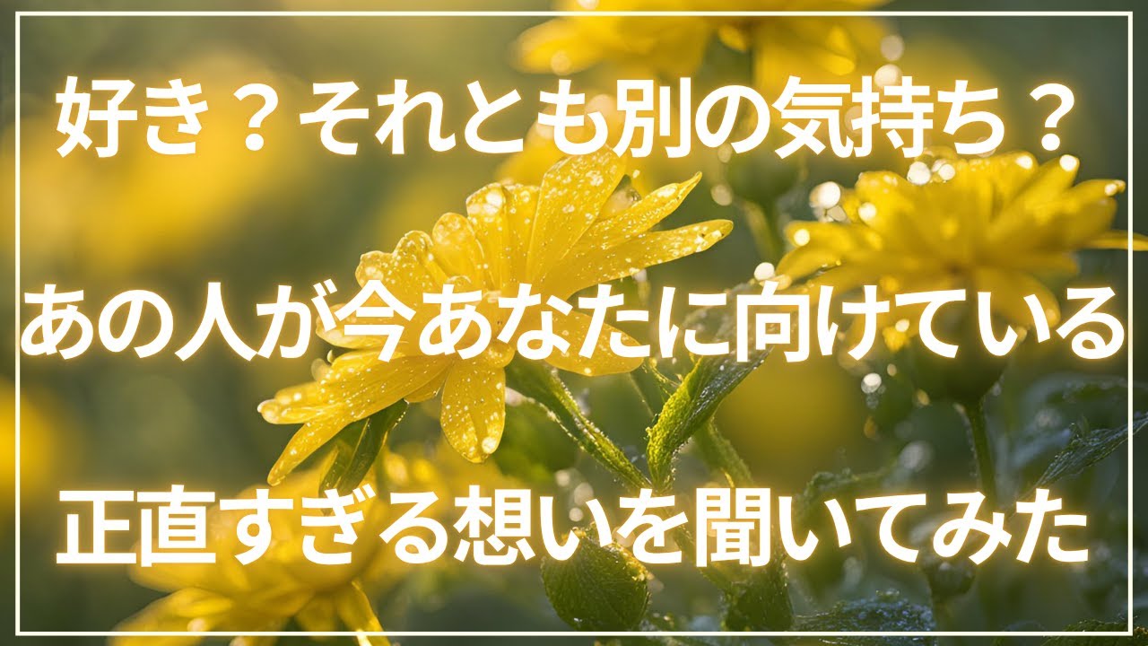 【後半でようやく本音が🫣】あなたへの印象∣好き？それとも...∣今後どうなりたい？∣あの人の今の本音をお伝えします🔮