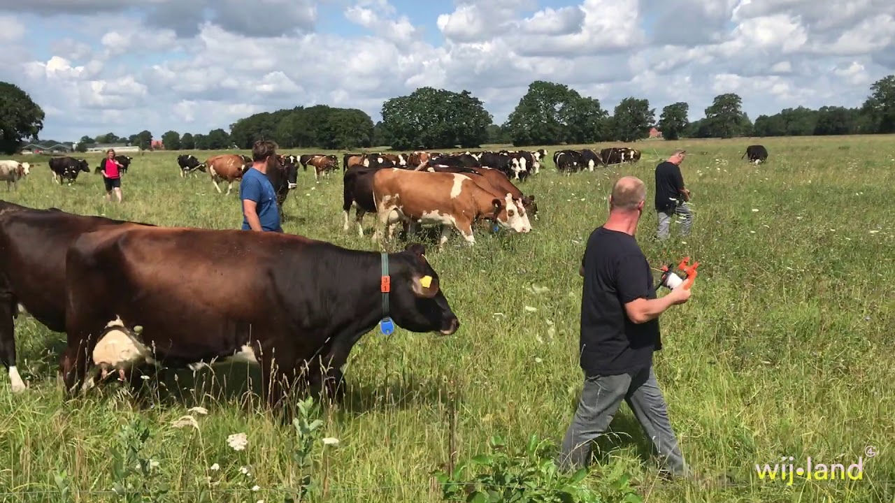 Excursie Grazersgroep Peter Oosterhof
