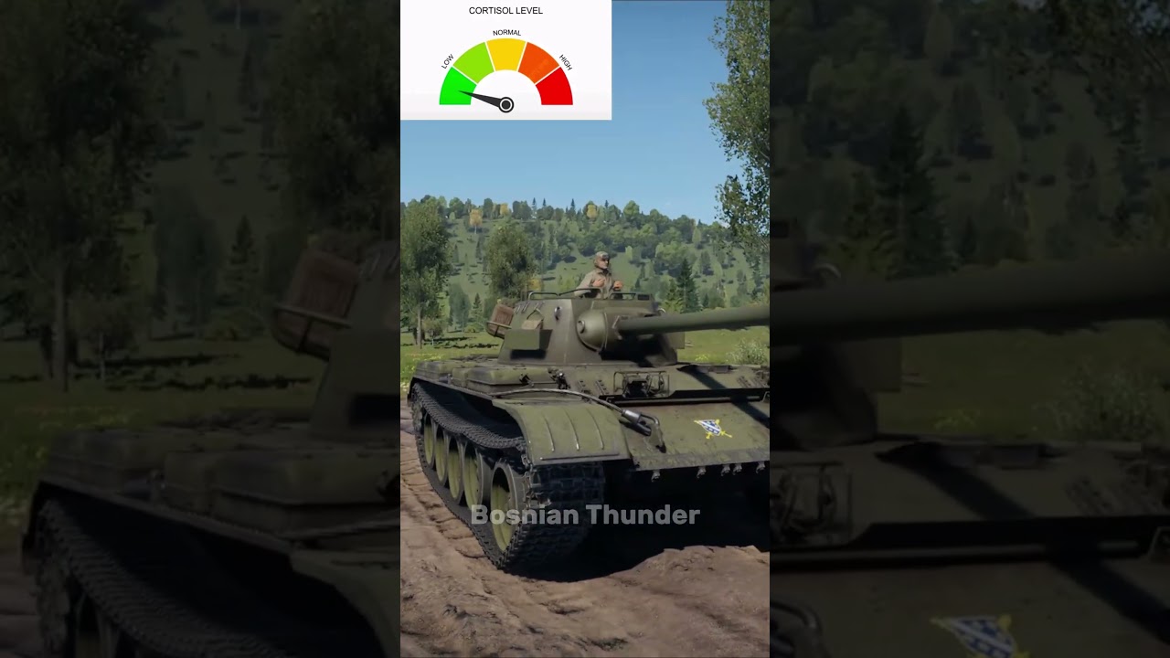 High cortisol vs low cortisol tanks #warthunder #shorts #gaming #gaijin #foryou #memes #like