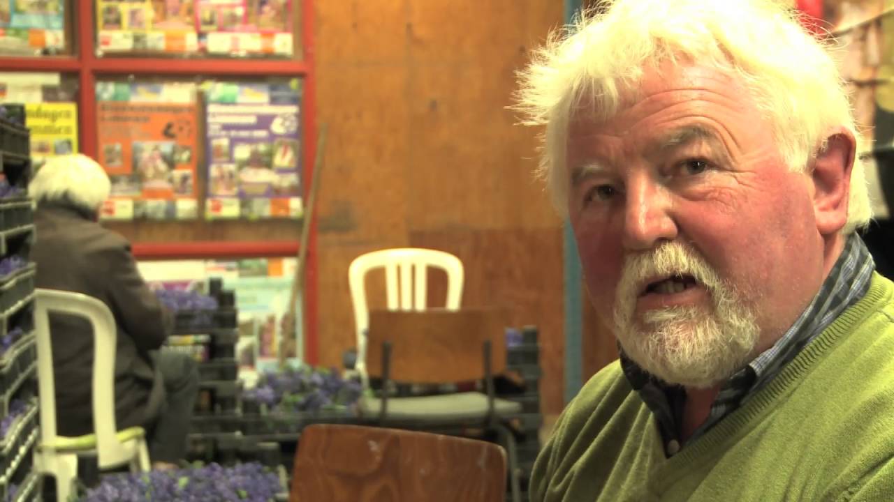 Trailer film Bloemendagen Limmen