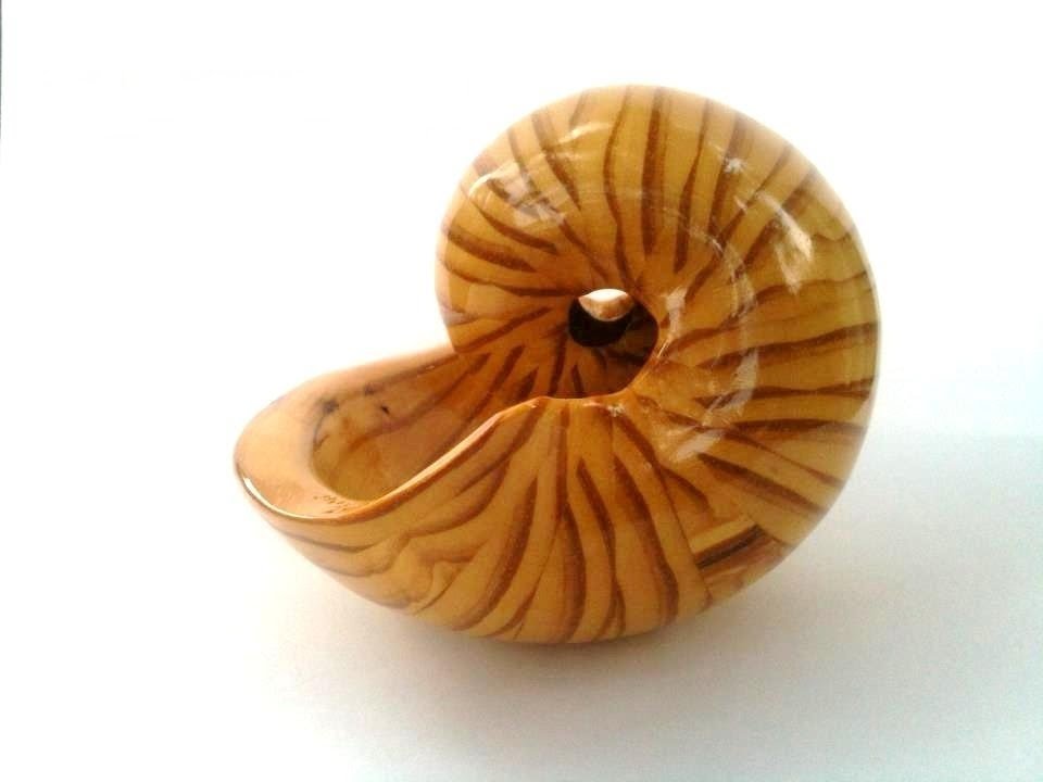 Scroll or Band Saw Shells