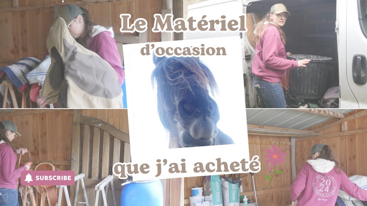 Le matériel d'occasion que j'ai acheté pour le débourrage à Dino - Des affaires qui ne craignent pas