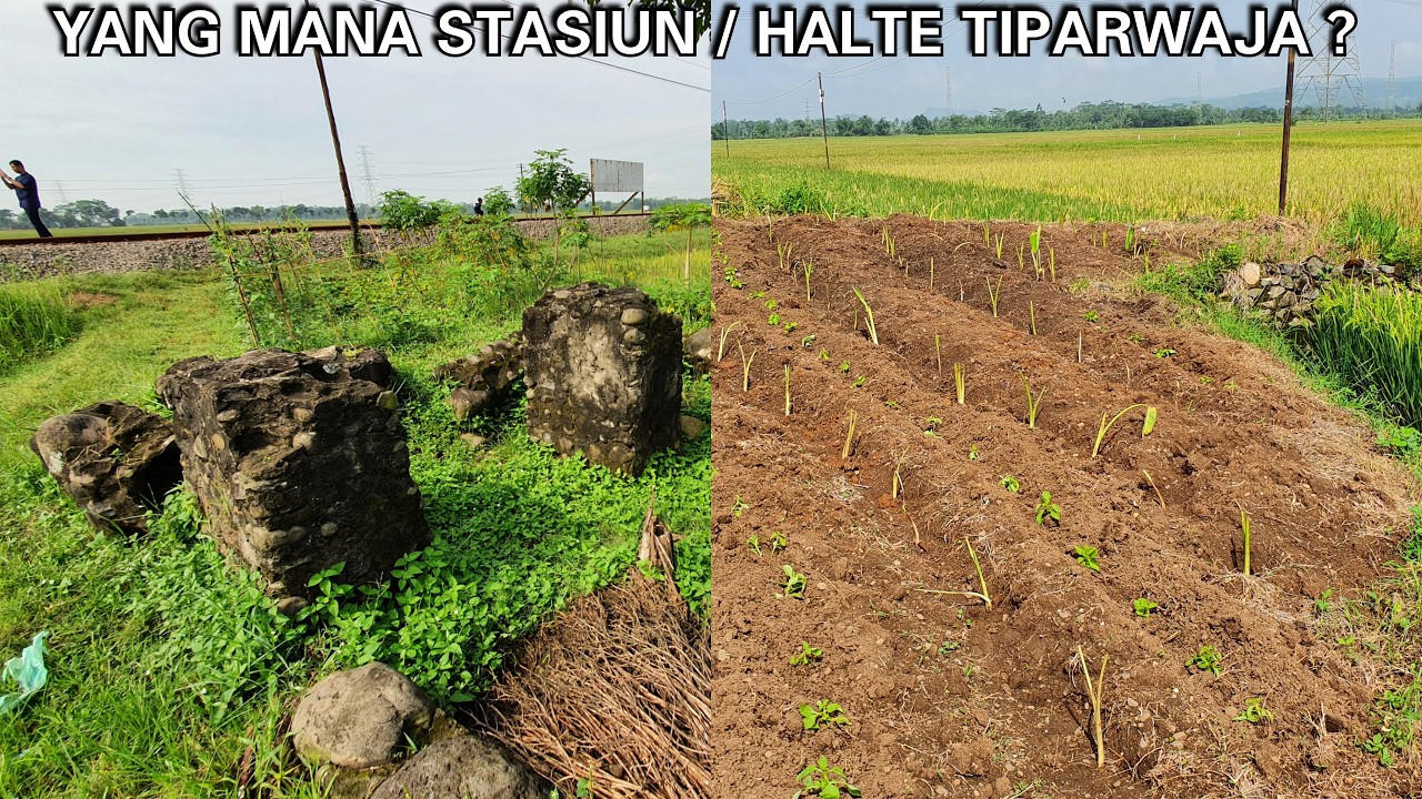KEBINGUNGAN MENCARI STASIUN TIPARWAJA ! | JEJAK JALUR SIMPANG TIPARWAJA - CLIGIR TANPA MEMUTAR KROYA