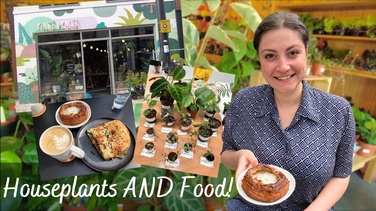 Another Plant Swap In Hull! My Dream Day Of Amazing People, Plants, And Food