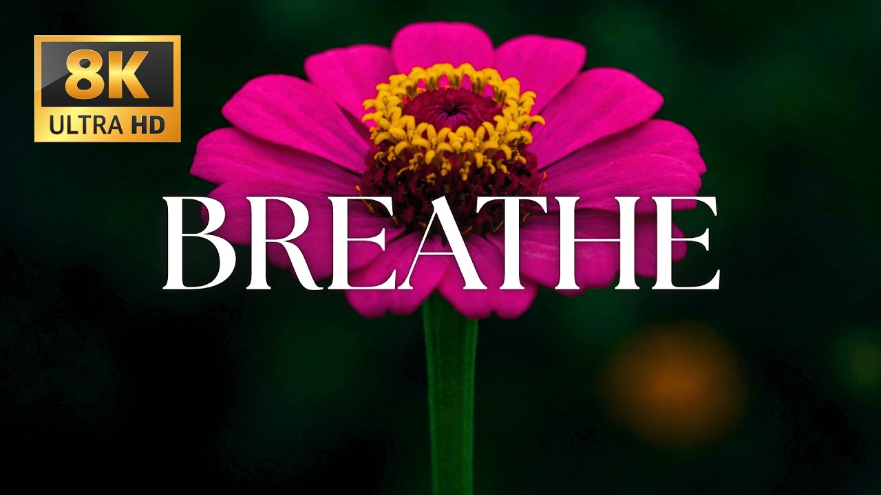 BREATHE 🌿 Relaxing Music to Calm Anxiety, Release Stress & Help You Discover Pure Tranquility Now