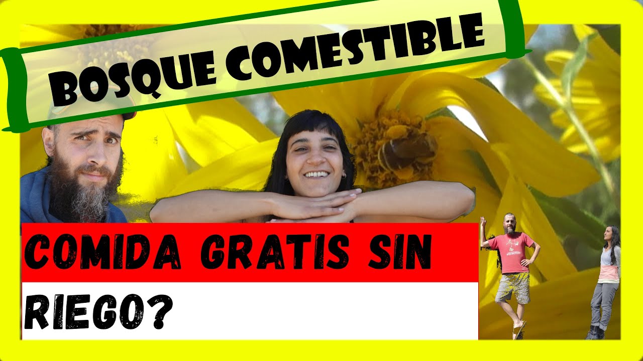 Bosque comestible | Comida sin riego | Bosque de alimentos | Secano | Captando humedad