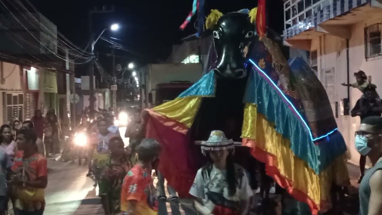 Boi Pelado arrasta multidão na noite de sexta em Tutóia.