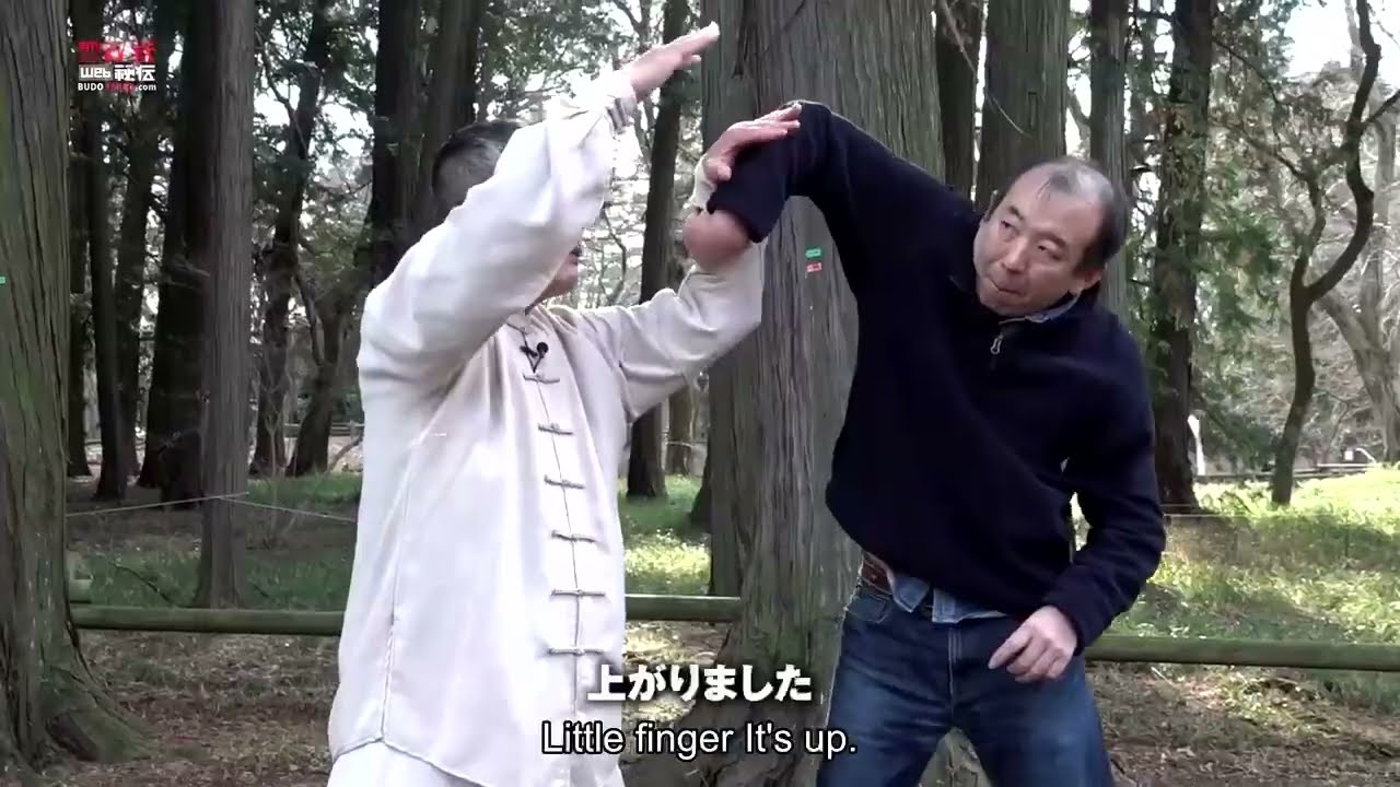Tai Chi, focus on the hands’ ability to grip or hold—an essential aspect of seizing an opponent.