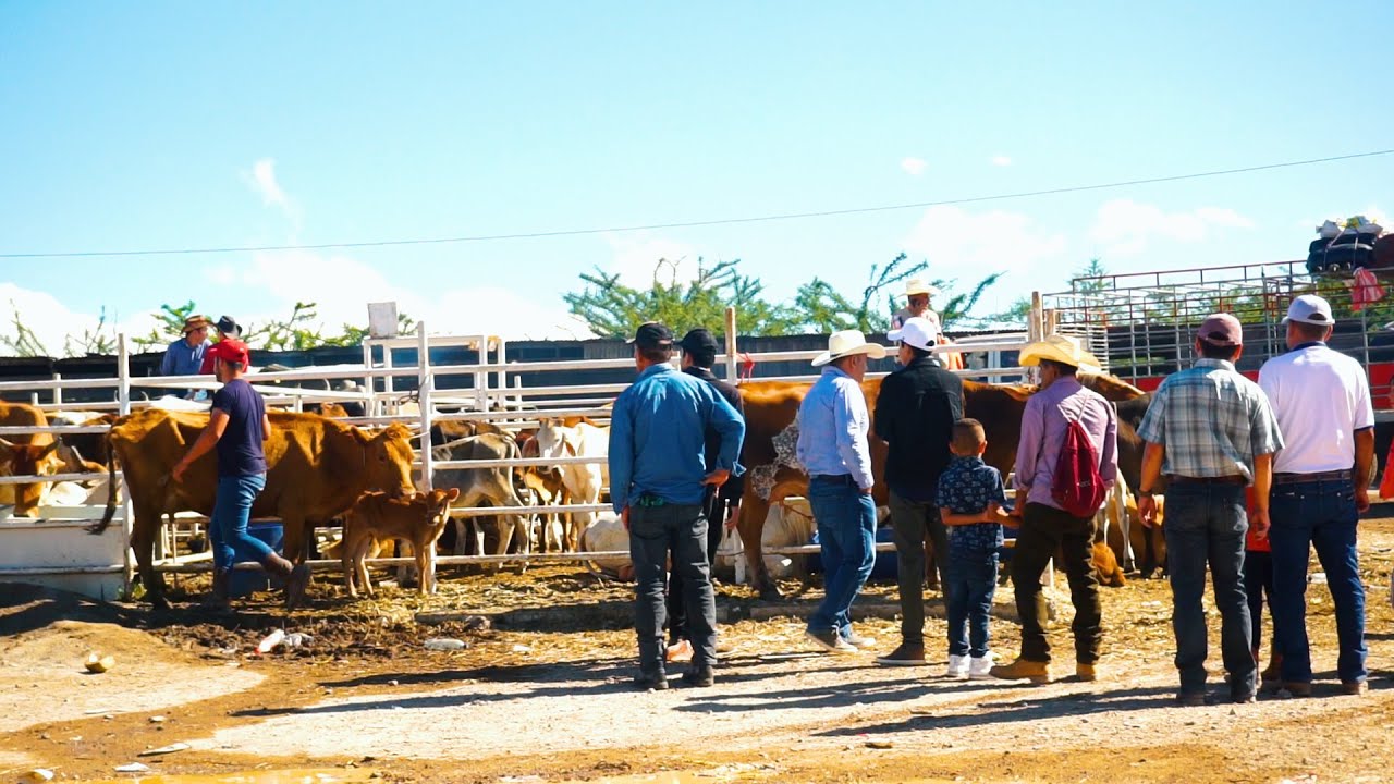 Así es Jutiapa, Tierra Ganadera de Guatemala