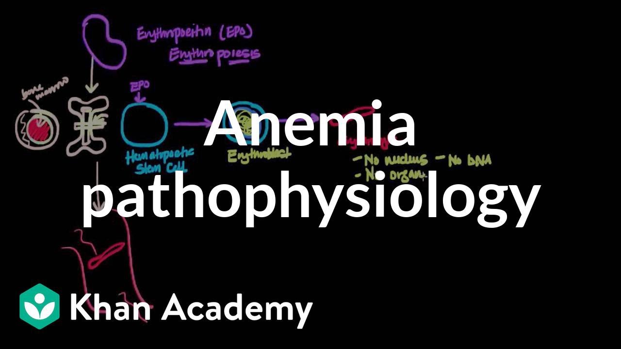 Anemia pathophysiology | Hematologic System Diseases | NCLEX-RN | Khan Academy
