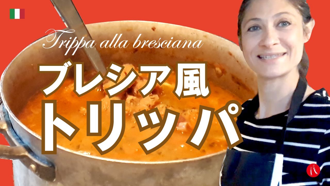 【ブレシア風トリッパ】ホルモン好きは必見！ 美味しいハチノスの煮込み by Circo Mitali