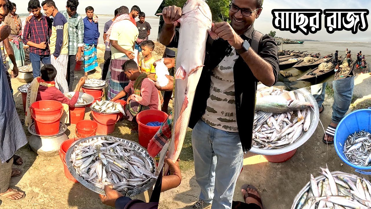 মেঘাই পর্যটন কেন্দ্র ও মাছ বাঁজার। কাজীপুর সিরাজগঞ্জ । Meghai Ferry Ghat | Kajipur Sirajganj |