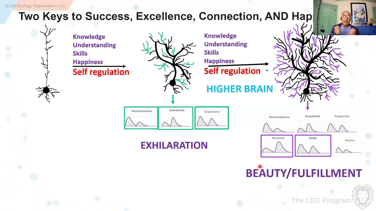 Video 5  Motivation: The Two Keys to Excellence, Success, Connection, and Happiness