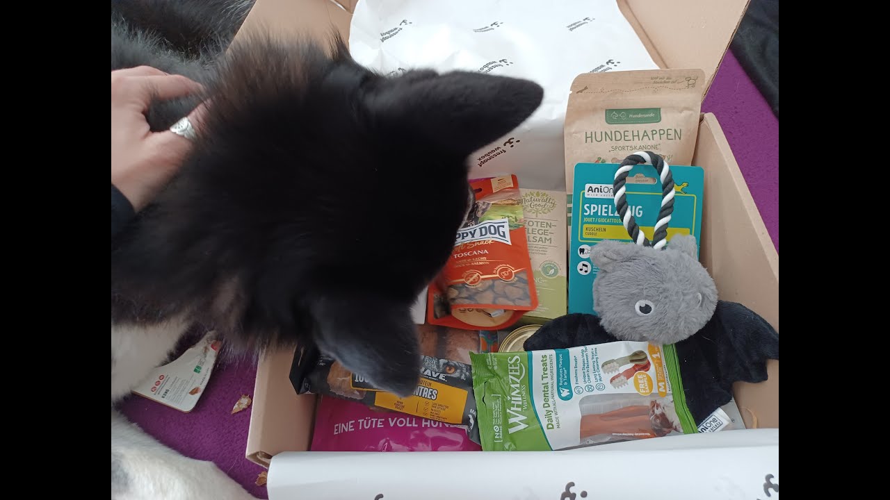 Waubox von Fressnapf 🦇 Oktober 2023 - Unboxing 💙 | Hundebox Test | 🐺 Husky Goraidh 🐾