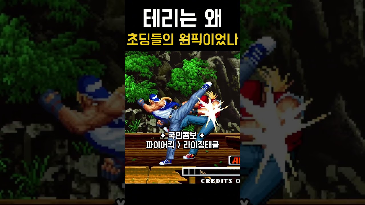 전국의 초딩들은 왜 테리를 골랐을까? 