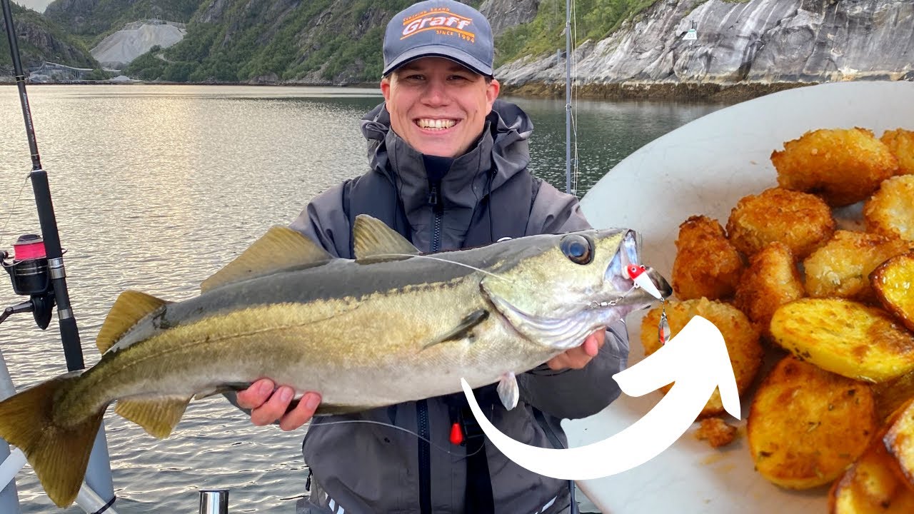 Fisch aus Norwegen zubereiten | Pollack knusprig und lecker | Rezept für Fisch - einfach!