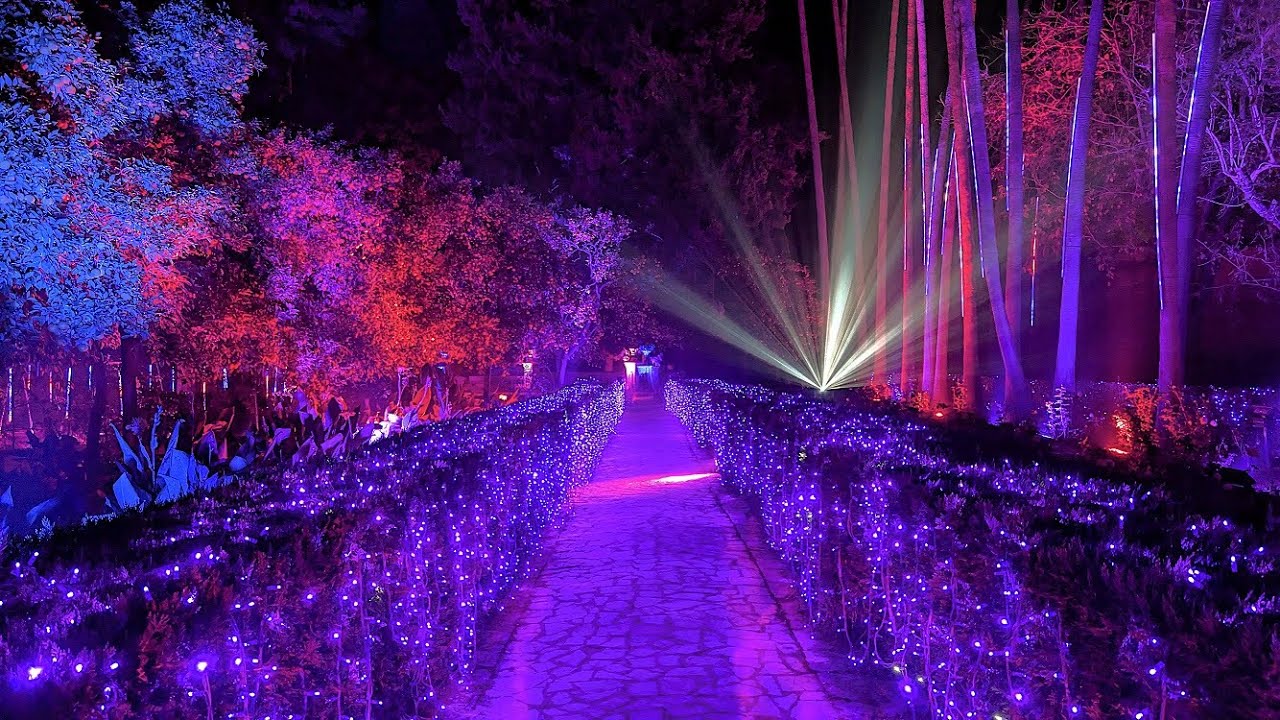 (4K) ESPECTACULAR NATURALEZA ENCENDIDA | Real Alcázar de Sevilla  DICIEMBRE  DE 2024