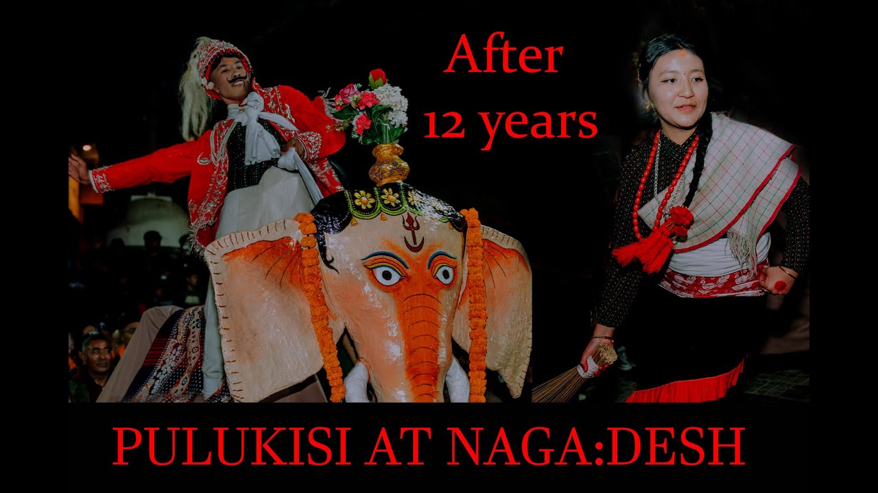 Historic Comeback! PULUKISI IN NAGA:DESH After 12 YEARS