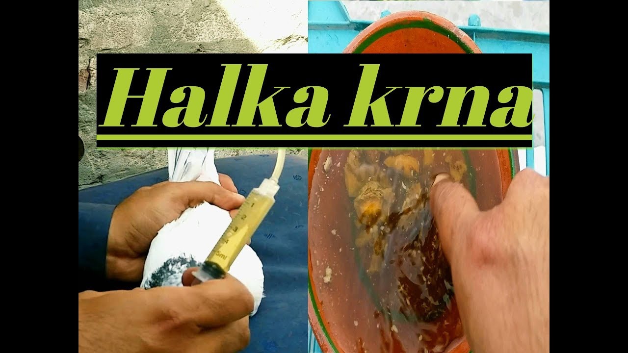 Parwazi kabootar ko Halka karny ka tariqa (Besakh ki tyari Part 15)