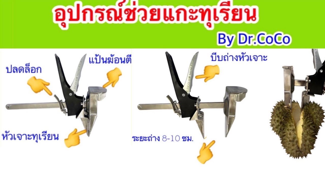 แกะทุเรียน