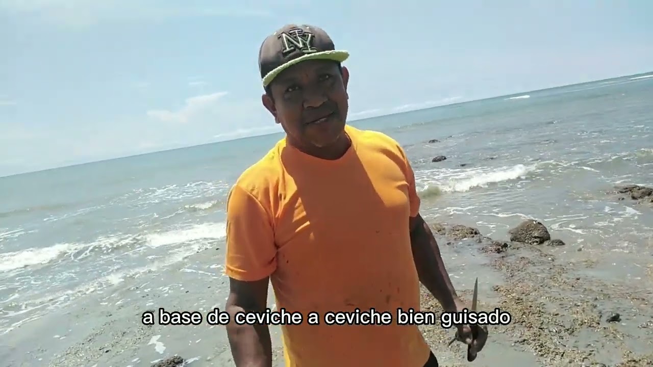 Cómo llegar a la playa de Río Mar en San Carlos Panamá