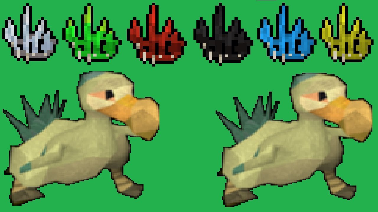 Chompy Hunting Guide OSRS - 200+ Kills/Hour