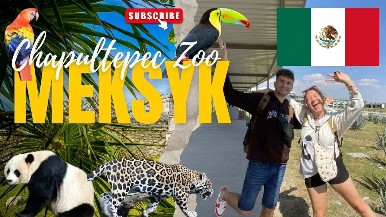 Zoo w Mexico City - czy warto? | Vlog z Meksyku