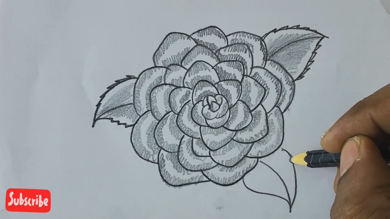 how to draw drawing step by step simple rose drawing&nbsp; beatifull flowers Drawing easy pencil arts,