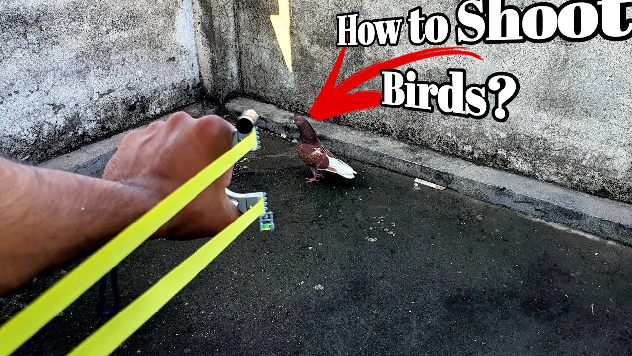 How To Shoot Birds Perfectly with Slingshot❓