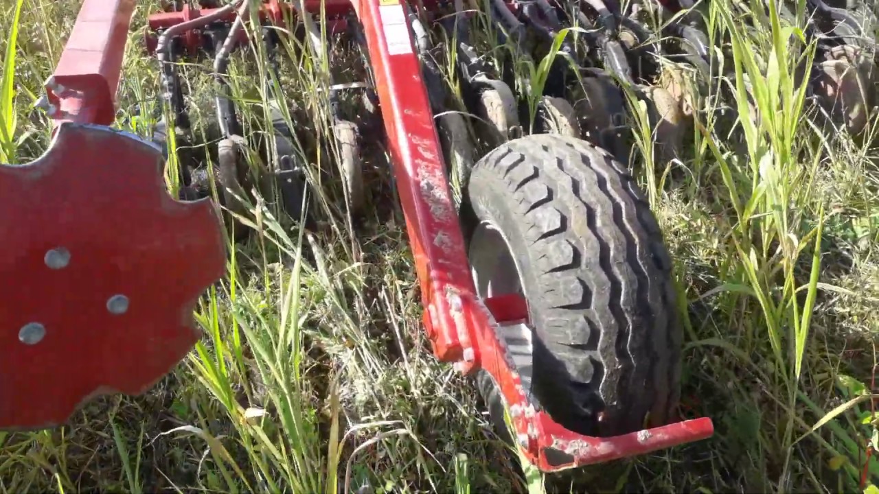 winter wheat direct drilling - Horsch avatar