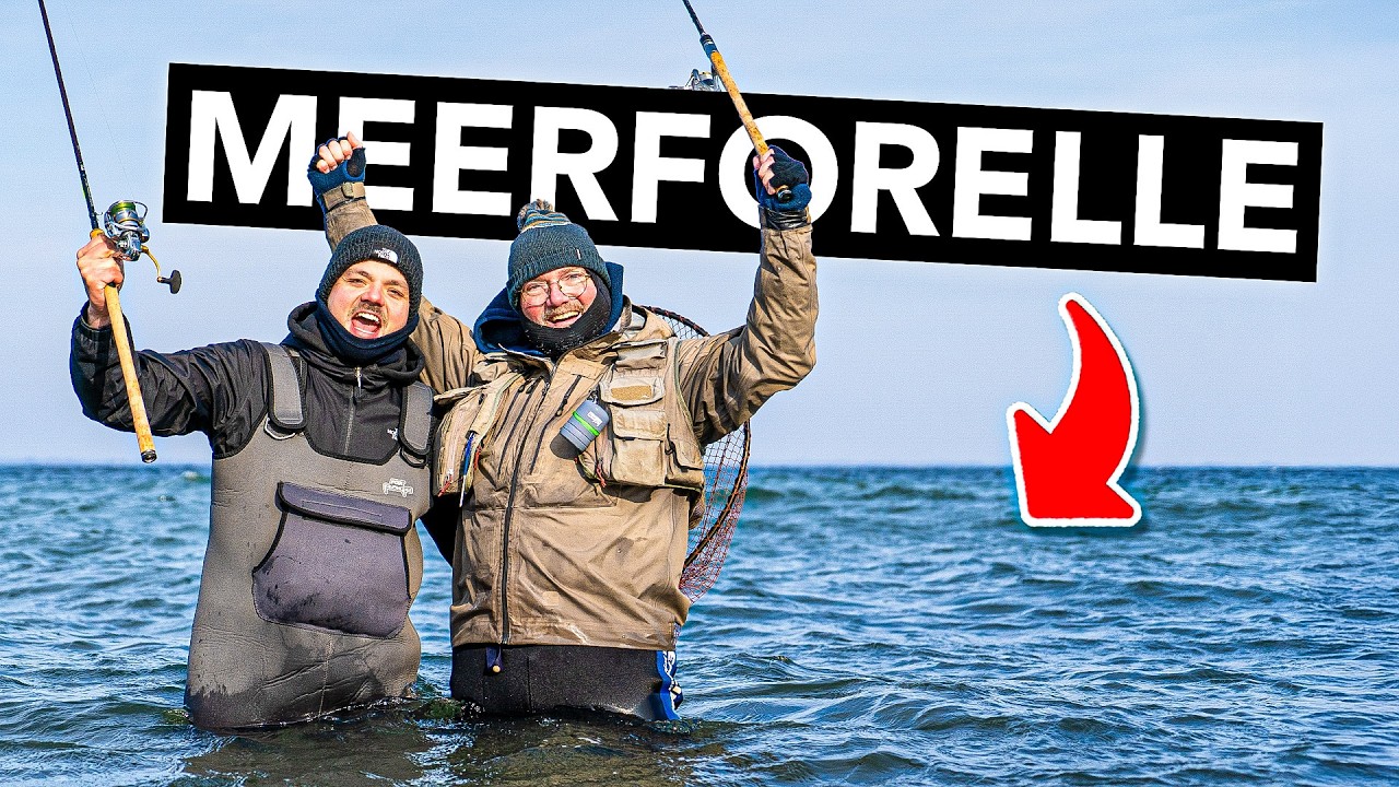 So f&auml;ngst du deine erste Meerforelle! 🎣 (Ausr&uuml;stung, K&ouml;der, Technik und Spots)