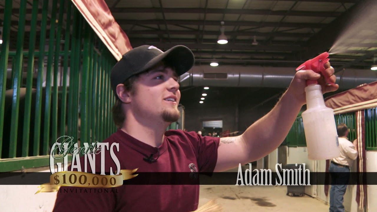 Gentle Giants $100,000 Invitational Six Horse Hitch Championship pt 1
