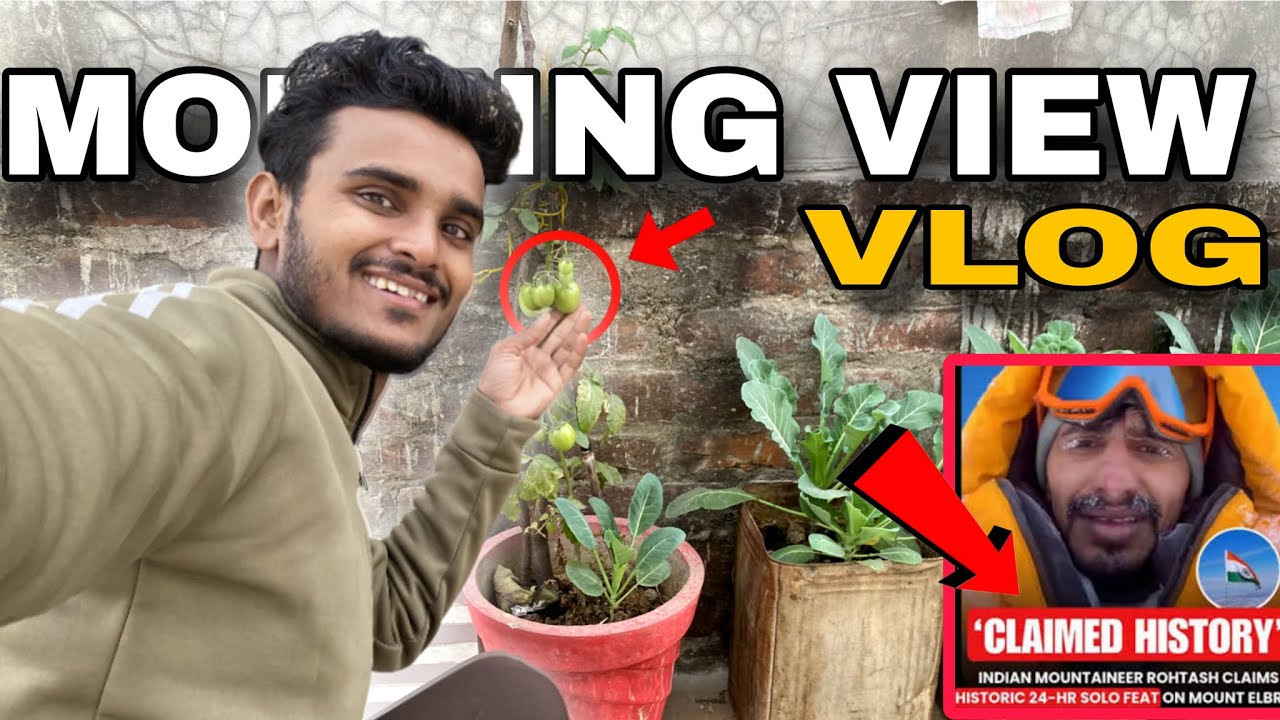  Today Morning view ||Rohtash Khileri ने रचा इतिहास | Mini Farming छत पर छोटा सा खेती @souravjvlogs 