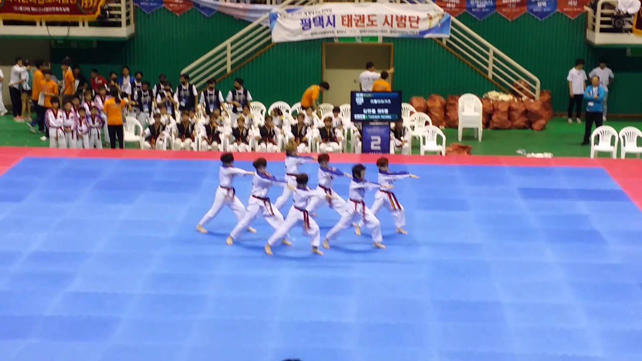 2015년 태권도 한마당  결승전