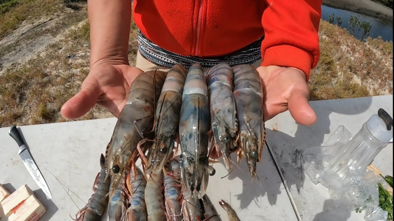 Así preparé estos camarones  gigantes en el río