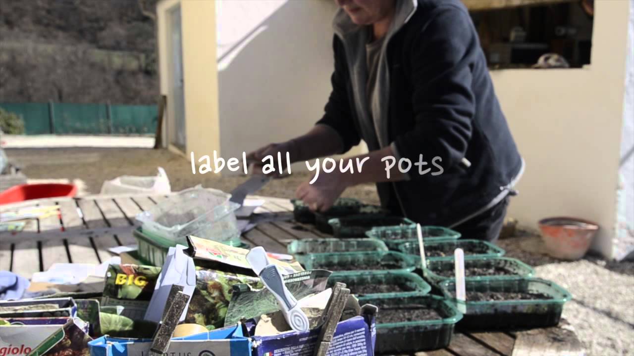 Starting Heirloom Tomato Seeds, Spring in our Italian Garden (Part 1)